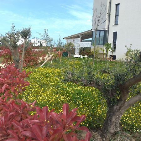 Welcome Beach Apartment Hamallaj Εξωτερικό φωτογραφία
